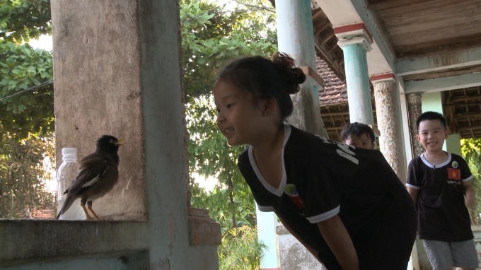 Bố ơi! Mình đi đâu thế? mùa 3 - tập 23: Các con đã lớn khôn