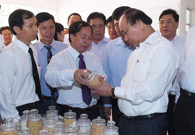 Thủ tướng Nguyễn Xuân Phúc cũng lưu ý, nước ta ngày càng hội nhập sâu rộng nên gạo phải có sức cạnh tranh quốc tế với chất lượng cao.