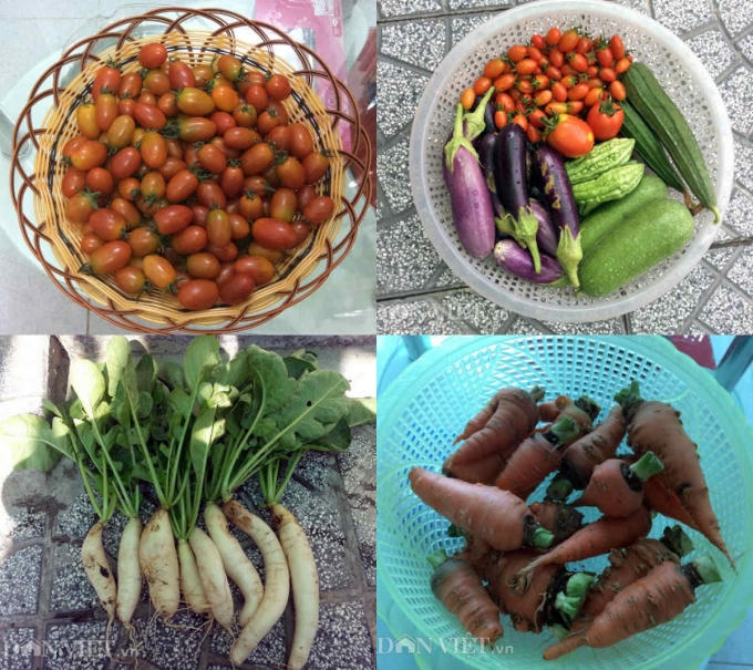 Những chiến lợi phẩm sạch mà chị thu hoạch được từ khu vườn sân thượng của mình