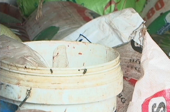 Ruồi, nhặng bu đầy các thùng và bao tải chứa nội tạng.