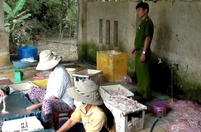 Cơ quan chức năng bắt quả tang cơ sở chế biến lòng lợn bẩn.