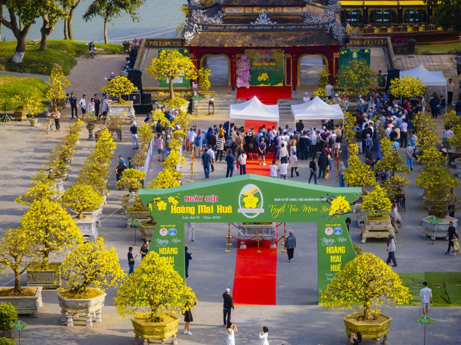Khai mạc Ngày hội Hoàng mai Huế lần thứ IV – Tôn vinh sắc mai vàng Cố đô. (Ảnh: Cổng TTĐT TP Huế)