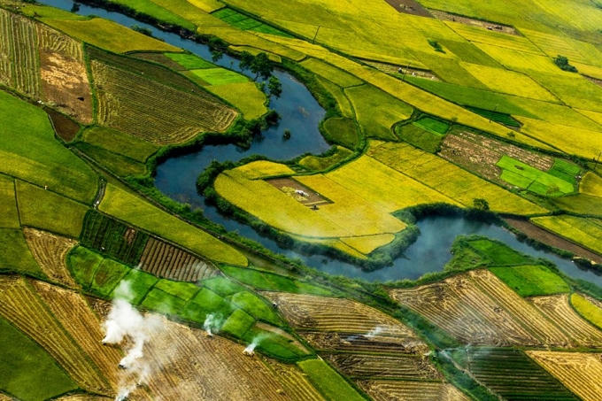 Mùa vàng Bắc Sơn - Ảnh: Lê Đình Quyến