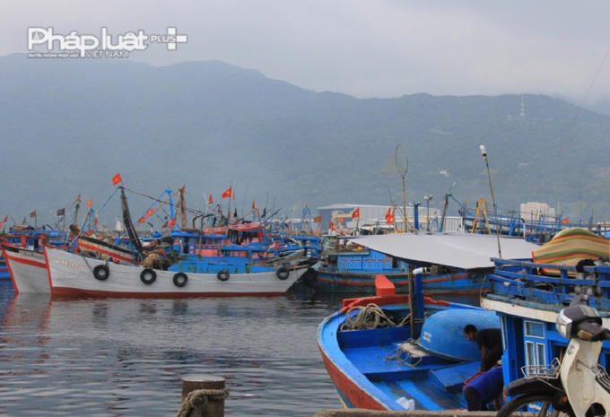 Khu vực Âu thuyền và Cảng cá Thọ Quang, nới tập trung thuyền đánh cá lớn nhất tại Đà Nẵng.