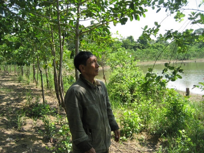 Ông Nguyễn Văn Ách - Hạt trưởng Hạt Kiểm lâm Bù Đốp bên cánh rừng gáo nước bán ngập xanh tươi do cơ quan trồng.