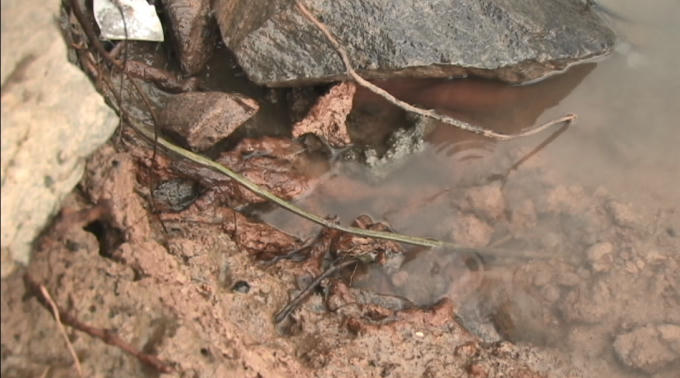 Các rọ sắt đều đã hoen gỉ.