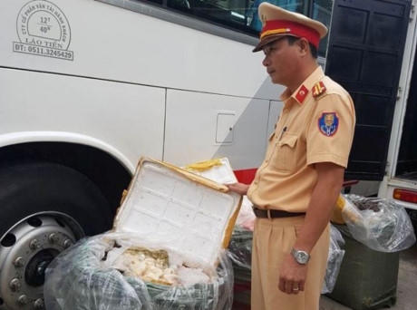 Phòng CSGT Công an tỉnh Thừa Thiên – Huế đã bàn giao số hàng này cho Phòng Cảnh sát phòng chống tội phạm về môi trường công an tỉnh Thừa Thiên Huế xử lý (Ảnh: GT)