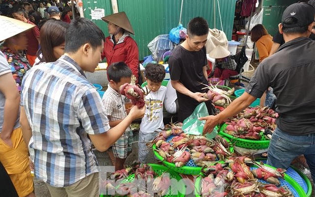 Ngày cuối kỳ nghỉ, du khách đổ xô về chợ Hạ Long mua hải sản