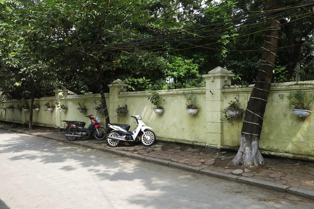 Ngõ 250 phố Khương Trung (quận Thanh Xuân), hàng trăm chậu hoa được treo trên bức tường kéo dài gần hết ngõ.