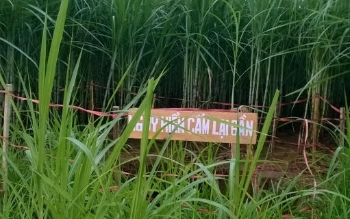 UBND xã Thành Vinh đã phong tỏa hiện trường, cắm biển cảnh báo nguy hiểm vì quá đông người dân hiếu kỳ kéo đến xem.