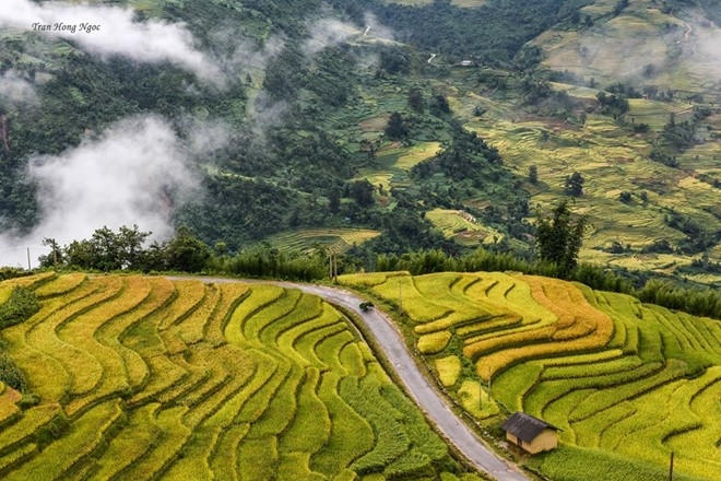 Không giống như ruộng bậc thang ở những nơi khác, đến Y Tý bạn có thể bất chợt gặp những biển mây tràn trên ruộng.