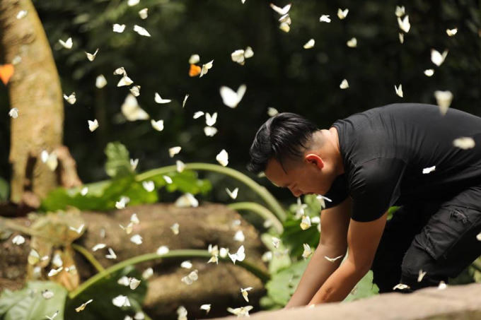 Nắng sớm làm tăng thêm vẻ lung linh và huyền ảo của khung cảnh thiên nhiên rừng Cúc Phương với những đàn bướm đủ sắc màu.