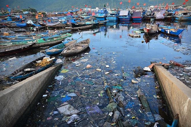 Môi trường vùng biển Đà Nẵng đang bị ô nhiễm do cống xả thải ven biển.