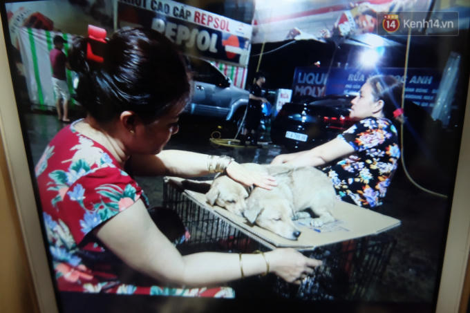 Vợ và em vợ của chú Ngọc Anh sau khi nghe sự việc đã tức tốc chạy lên tiệm để chăm sóc cho 2 chú chó. (Ảnh: NVCC)
