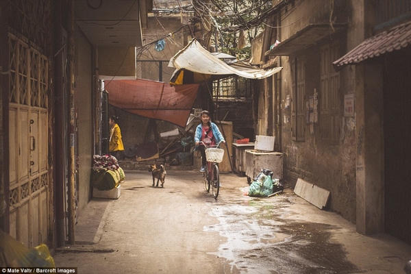 Con ngõ nhỏ giờ đi làm trở nên vắng hiu vắng hắt.