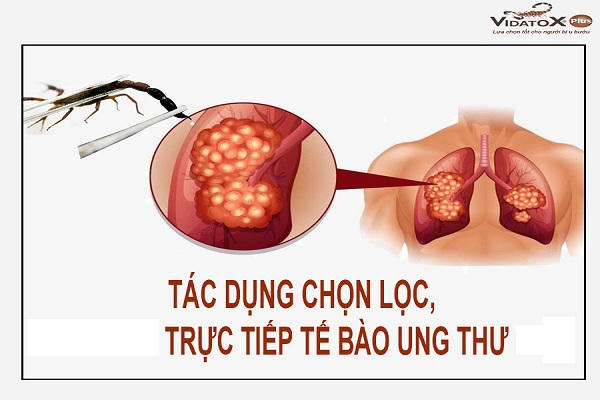 Nọc bọ cạp xanh Cuba tác dụng trực tiếp vào tế bào ung thư.