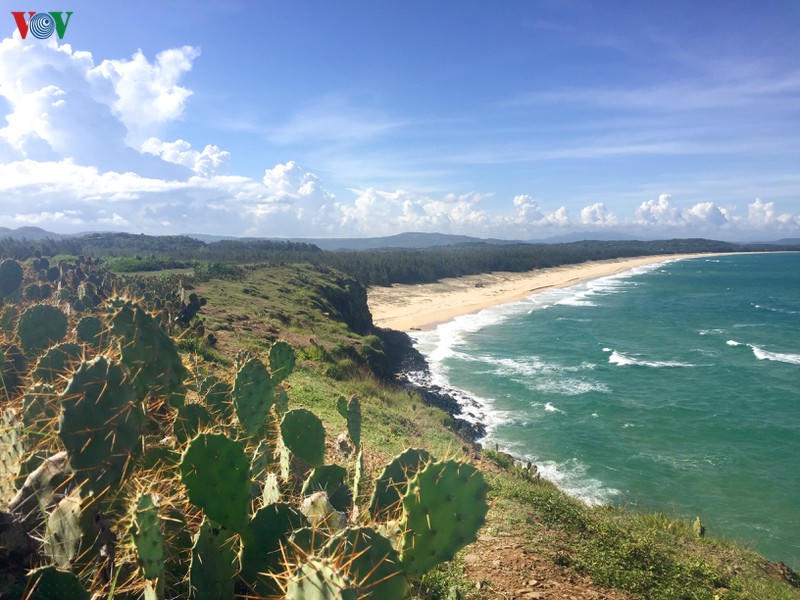 phu yen - tuyet tac ky dieu cua thien nhien hinh 5