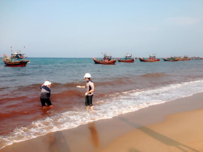 "Chưa biết nguyên nhân như thế nào nhưng rõ ràng đây là một hiện tượng tự nhiên xấu” (Ảnh: Văn Ba).