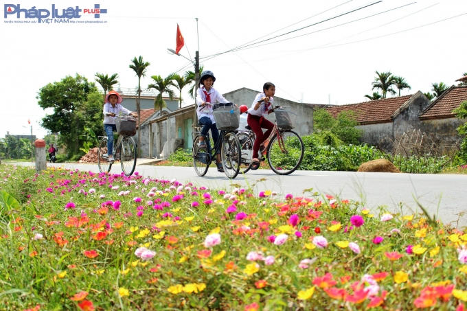 Con đường hoa đầy lãng mạn ở làng quê Nam Định