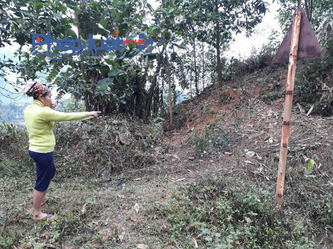 Địa điểm Hòa thuê tô tô để đuổi trâu lên xe tải nhằm tẩu tán nhưng bị một hộ dân gần đó phát hiện.  (ảnh: Phàn Giào Họ).