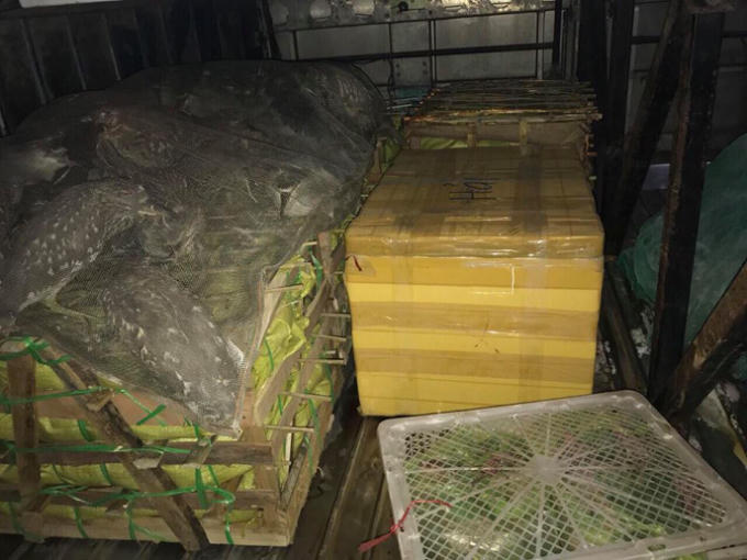 Hàng hóa vi phạm được lực lượng CSGT kiểm tra, lập biên bản và bàn giao cho lực lượng chức năng xử lý theo quy định của pháp luật.