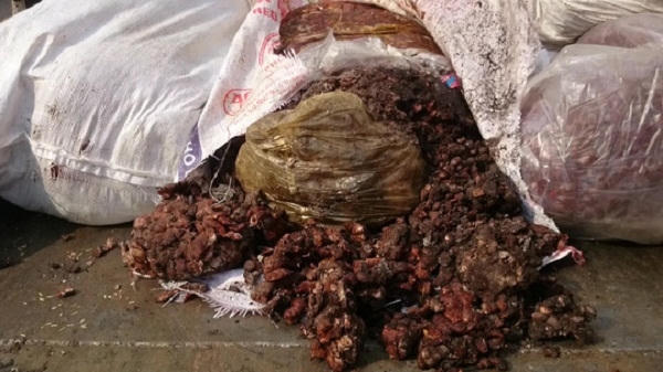 Vấn đề thực phẩm bẩn đnag trở thành quốc nạn hiện nay.