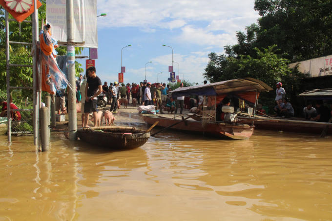 V&agrave;o v&ugrave;ng rốn lũ s&ocirc;ng Bưởi: Hơn ngh&igrave;n người cầm cự giữa m&ecirc;nh m&ocirc;ng biển nước