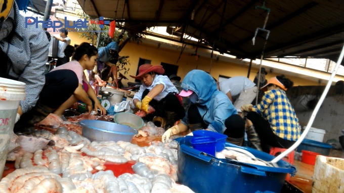 Khu vực làm nội tạng.