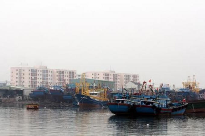 Ban chỉ huy tiền phương tiêu thụ cá sạch của Đà Nẵng đặt ở cảng cá Thọ Quang (Ảnh: Cao Thái).