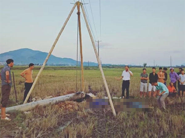 Khởi tố vụ 4 người tử vong trên cánh đồng. (Ảnh minh họa)