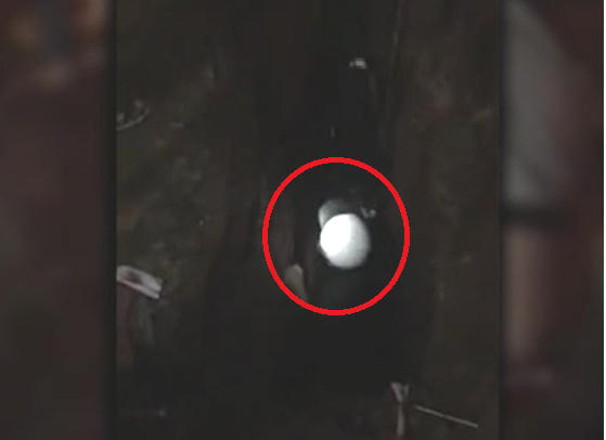 Nam thanh niên cùng với chiếc xe máy bị rơi xuống hố công trình. Ảnh: Cắt từ clip.