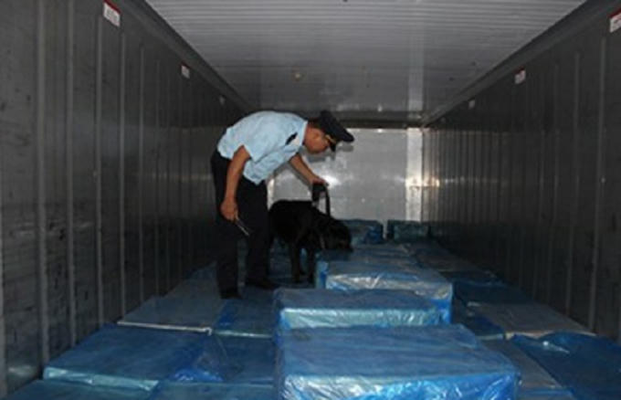 Lực lượng chức năng tiến hành kiểm tra 1 trong số 29 container nghi chứa shisa.