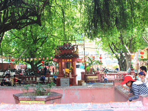 Khuôn viên chùa rợp bóng mát.