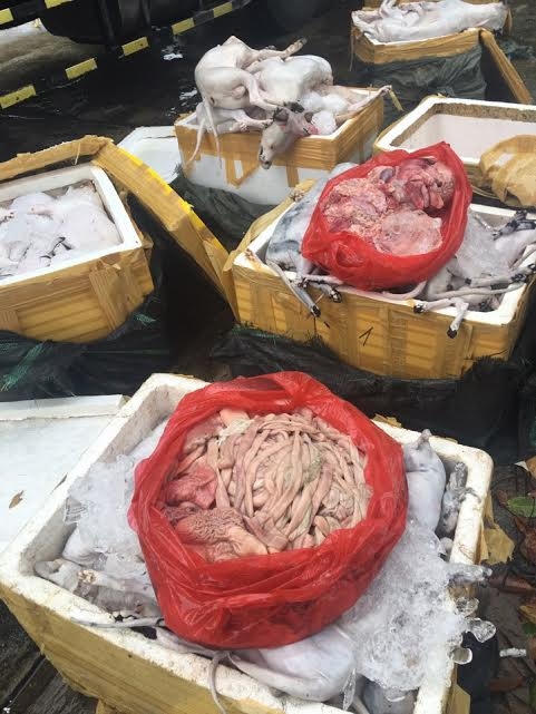 Khoảng 680kg thực phẩm bẩn gồm nội tạng động vật, thịt mèo, chó đã bị CSGT Thanh Hóa bắt giữ.