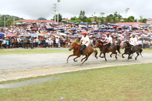 Anh149.
