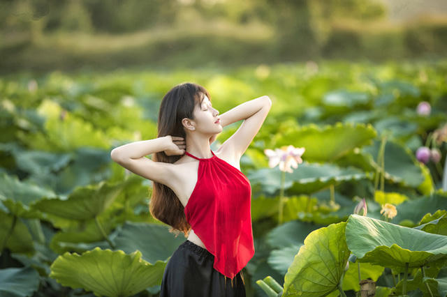 Mỗi độ hè về, thiếu nữ Hà thành lại nô nức chụp ảnh kỷ niệm cùng sen (ảnh: Huy Hoàng Đoàn).