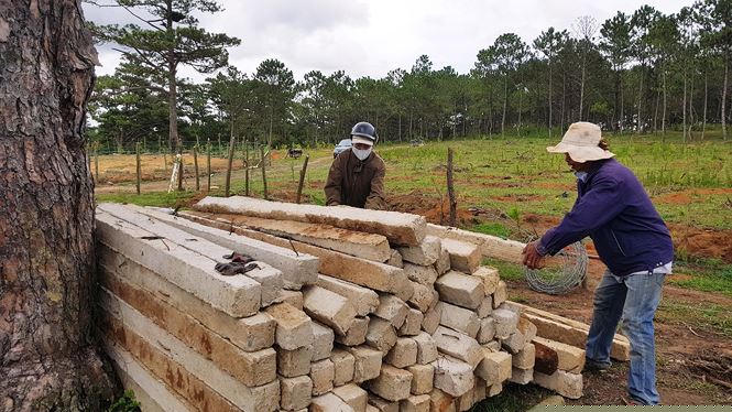 Thu hồi cột bê tông dùng là trụ rào để bao chiếm đất rừng.