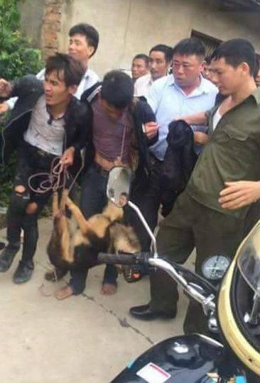 B và T bị người dân bắt quả tang trộm chó.