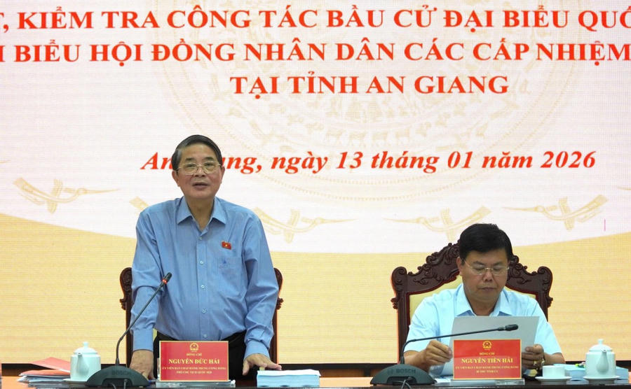 Phó Chủ tịch Quốc hội, Ủy viên Hội đồng Bầu cử quốc gia Nguyễn Đức Hải phát biểu chỉ đạo tại buổi làm việc.