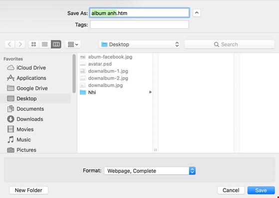 Tải to&agrave;n bộ dữ liệu tr&ecirc;n trang web về m&aacute;y t&iacute;nh. Ảnh: MINH HO&Agrave;NG.
