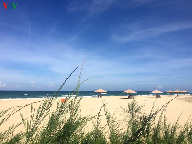 phu yen - tuyet tac ky dieu cua thien nhien hinh 6