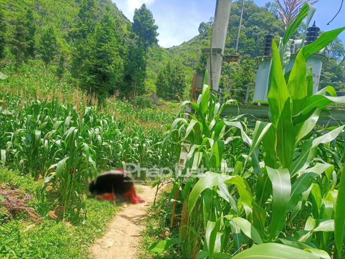 9ff4ea1571d2b28cebc3