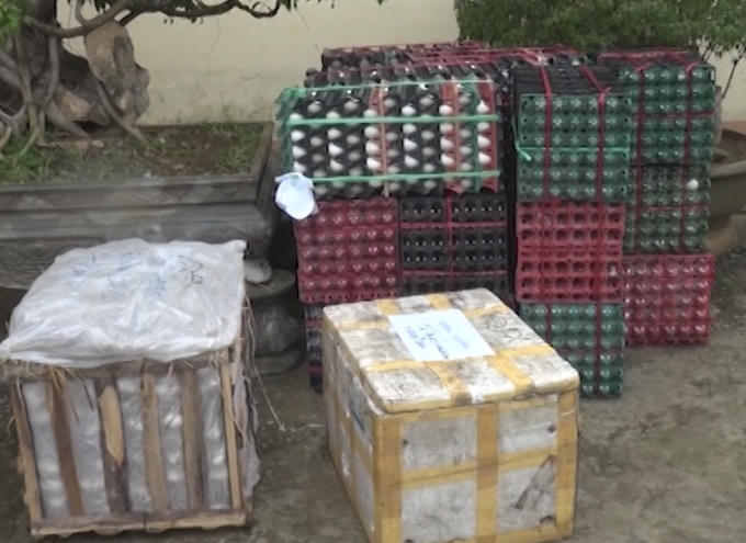 Số lượng trứng bị thu giữ.