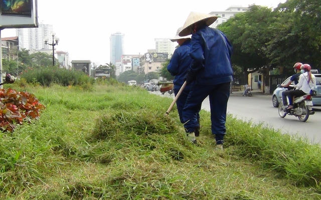 Hà Nội: Công nhân chật vật cắt cỏ dại trên phố