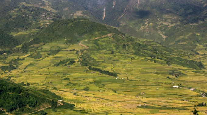 Núi non hùng vĩ kết hợp màu vàng của những bông lua chín chải dài cả vùng thunng lũng, tạo ra khung cảnh hung vĩ.