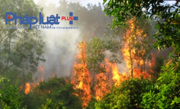 Ngọn lửa thiêu rụi 15ha rừng