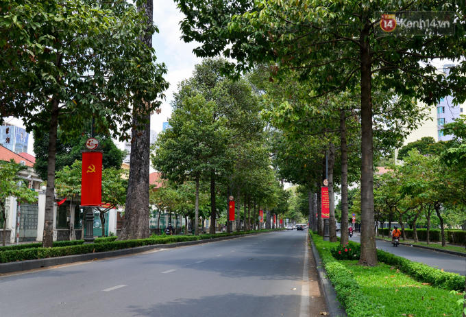 Nam Kỳ Khởi Nghĩa tĩnh lặng cùng hàng cây xanh ngút tầm mắt.