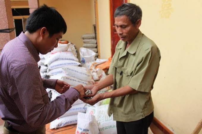 Lô phân bón kém chất lượng bị phát hiện được nhà máy đền bù, hỗ trợ và không thu tiền.