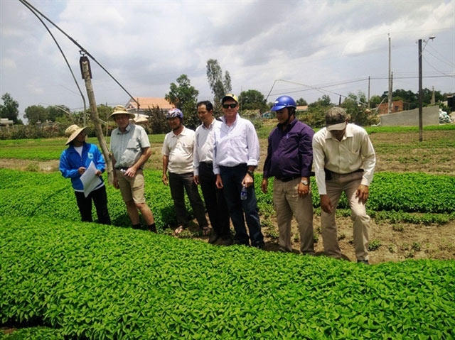 XTTM, kết nối thị trường đang bị “nghẽn” khiến sản phẩm rau sạch các HTX bí đầu ra.