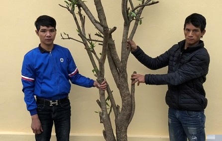 Hoàng Thế Quý và Nguyễn Sĩ Chiến